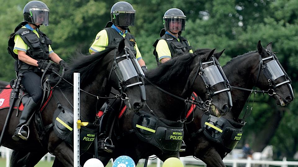 Využití starokladrubských koní pro policii