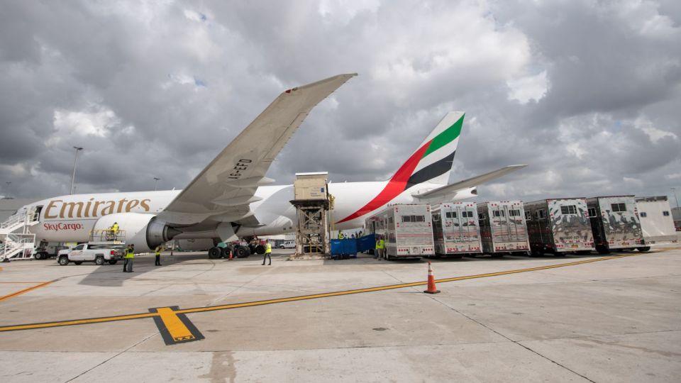 Emirates SkyCargo převáží špičkové sportovní koně