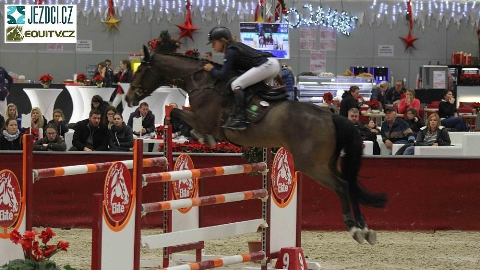 Amedues Horse v Salzburgu opět s Čechy na startu