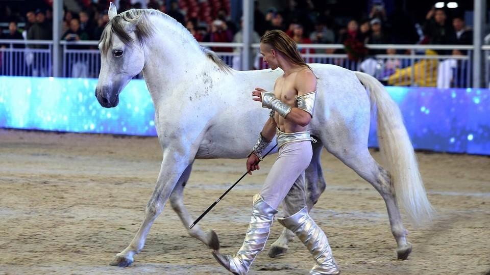 Španělští koně v akci. Prahu čeká velká show Haraldos Stunt Brothers