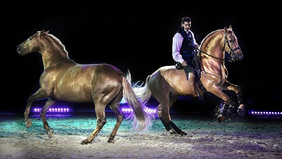 Večerní Lysá zve na dechberoucí show Gariho Zohera a lusitánských koní