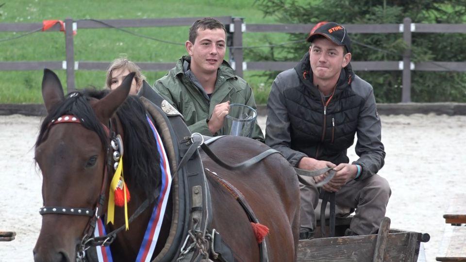 Michal Bančík ovládl jedno i dvojspřeží při MČR chladnokrevných koní