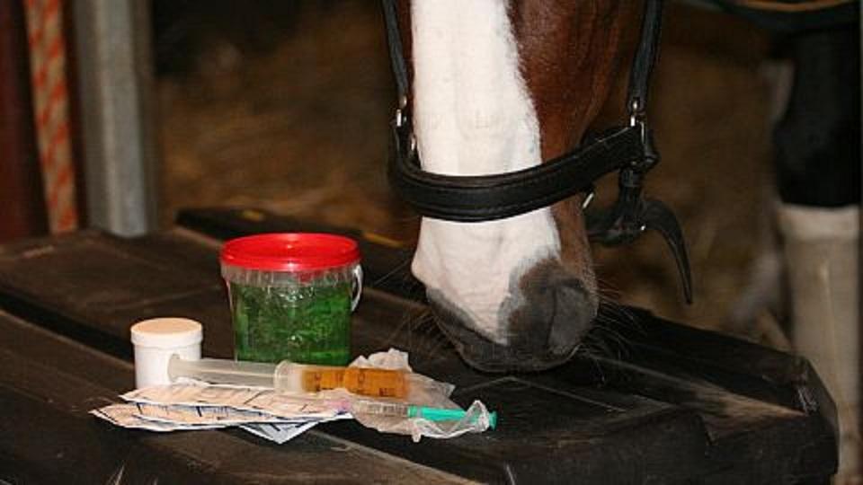 Tribunál FEI rozhodl sedm dopingových kauz a jeden případ týrání koně