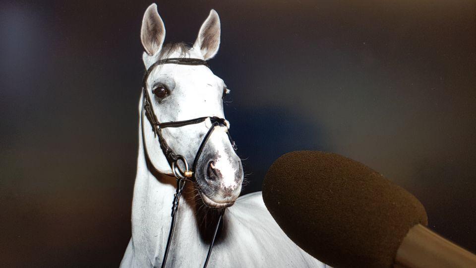 Jezdecké rádio EquiTV nabídlo již 100 příběhů lidí, kteří milují koně