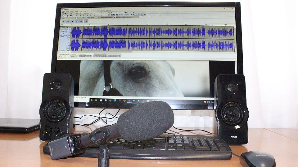 Začalo vysílat první koňské rádio v ČR. Poslouchat ho lze na internetu
