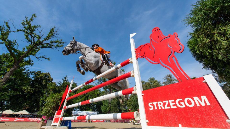 Strzegom přivítá pony jezdce. Proběhne tam evropské mistrovství 2022