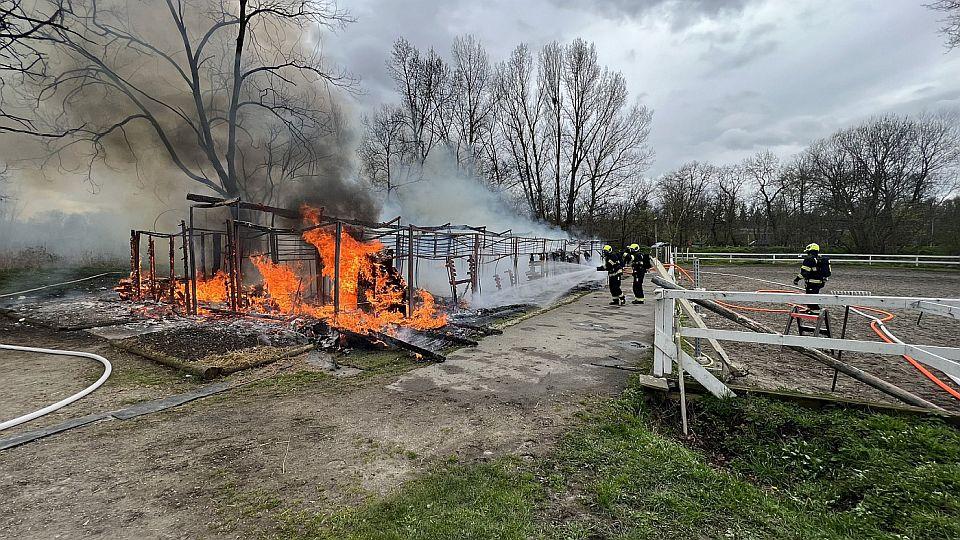 Tragédie na pražském Císařském ostrově. Při požáru uhynulo osm koní