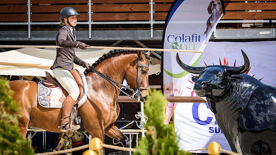 Živě: Sledujte Czech Summer Open 2023 v disciplíně Working Equitation