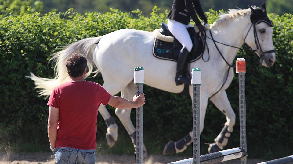 Desatero výcviku koně podle Equitation Science je základem pro všechny