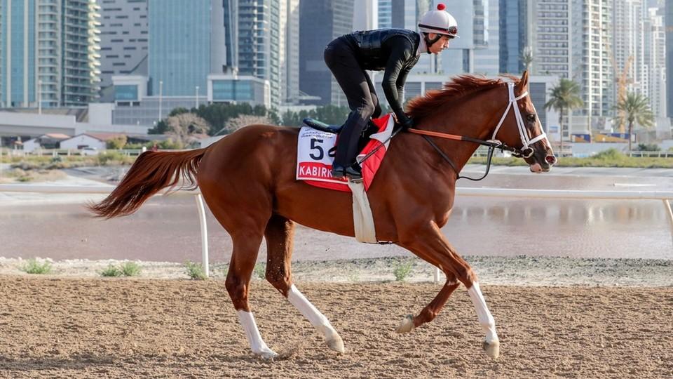 Kabirkhan dobývá Dubaj. "Zázračný kůň z Kazachstánu" má i vlastní píseň