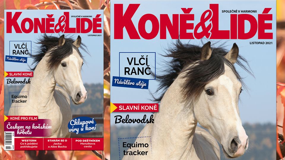 Koně a lidé: O deštnících, vírech a seriálu Českem na koňském hřbetu 