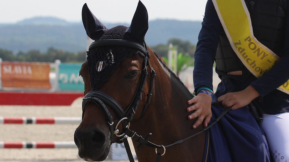Ve Zduchovicích pokračovalo mistrovství ČR pony. Zapojili se skokani