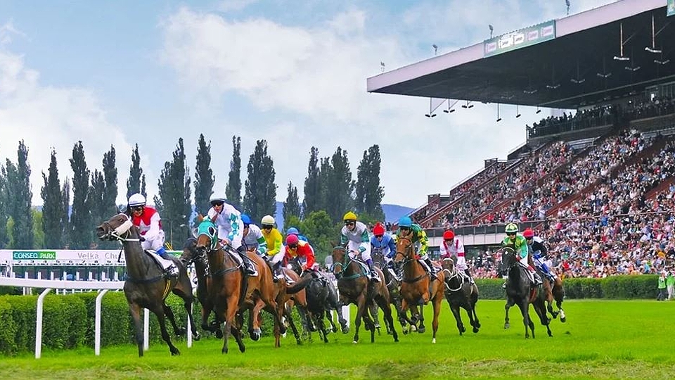 Velká národní steeplechase o Pohár Váni
