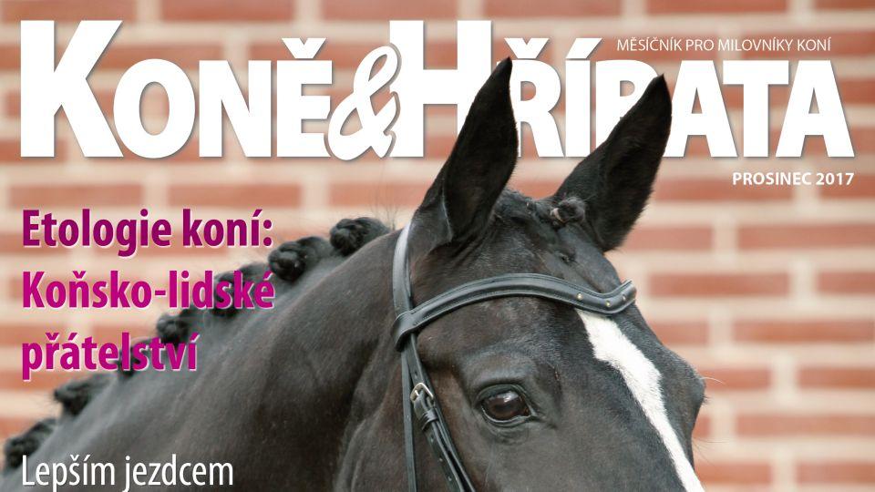 ikonka