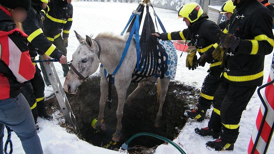 Záchranářům opět pomohla speciální síť pro koně