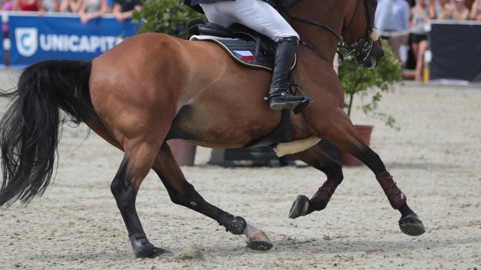 Lednové zahraniční výjezdy Čechů nejen ve skocích