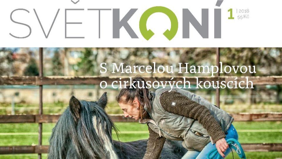 ikonka