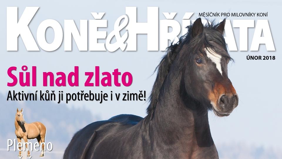 ikonka