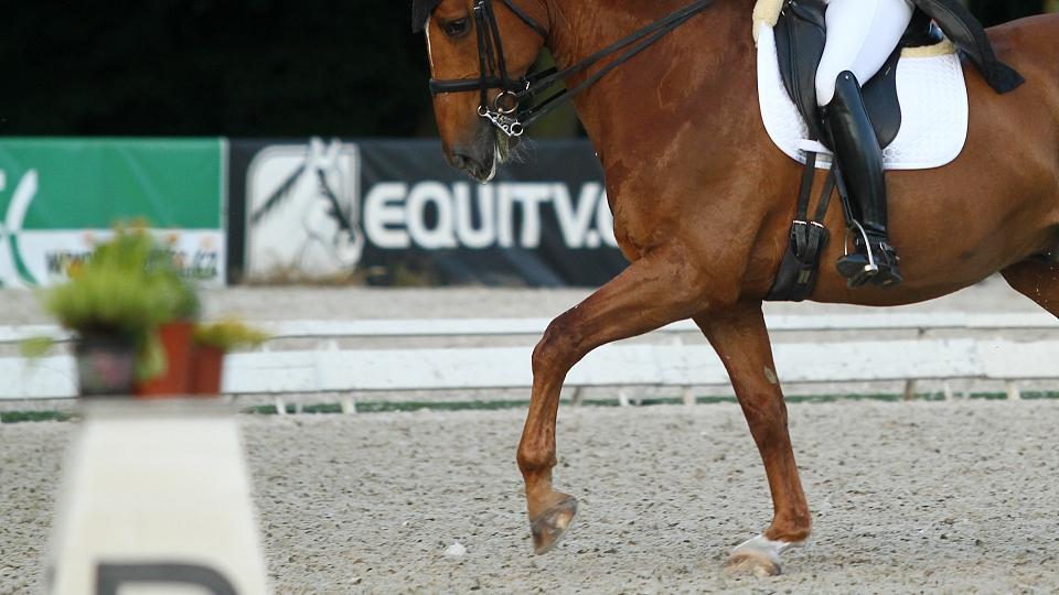 Seriál Donau Bohemia Trophy pokračuje v roce 2018