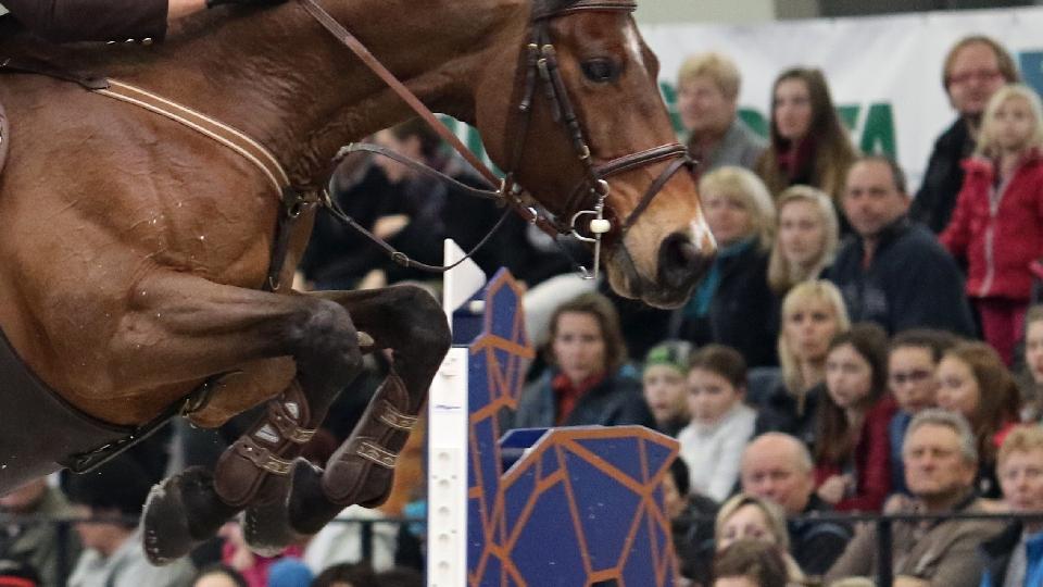 Češi opět nechybí při CSN v Magna Racinu
