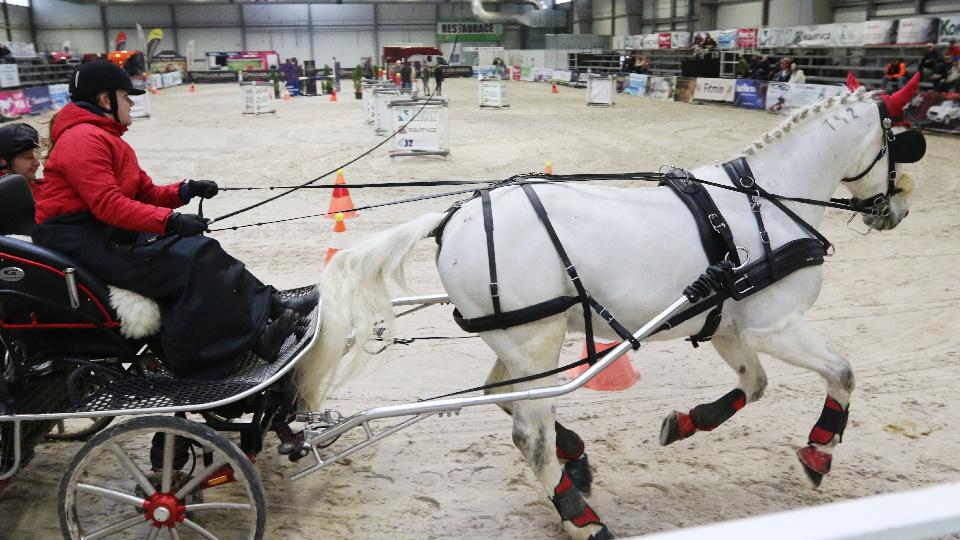 JF 2018: Nedělní den ve znamení spřežení