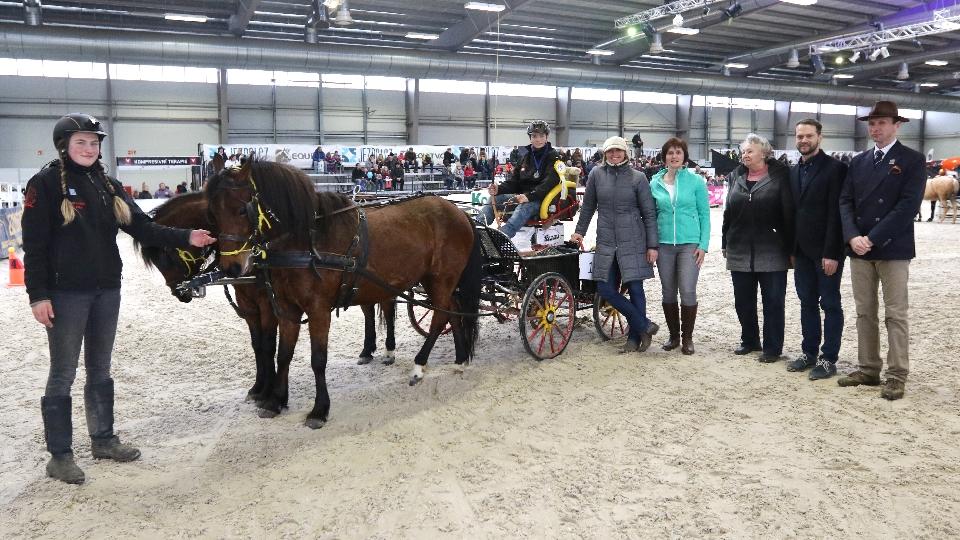 JF 2018: Vlašic vítězem oficiální soutěže pony