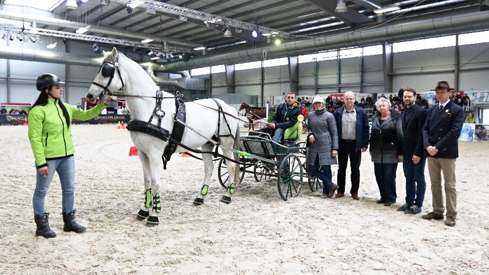 JF 2018: Jednospřeží pro Dominika Brumovského