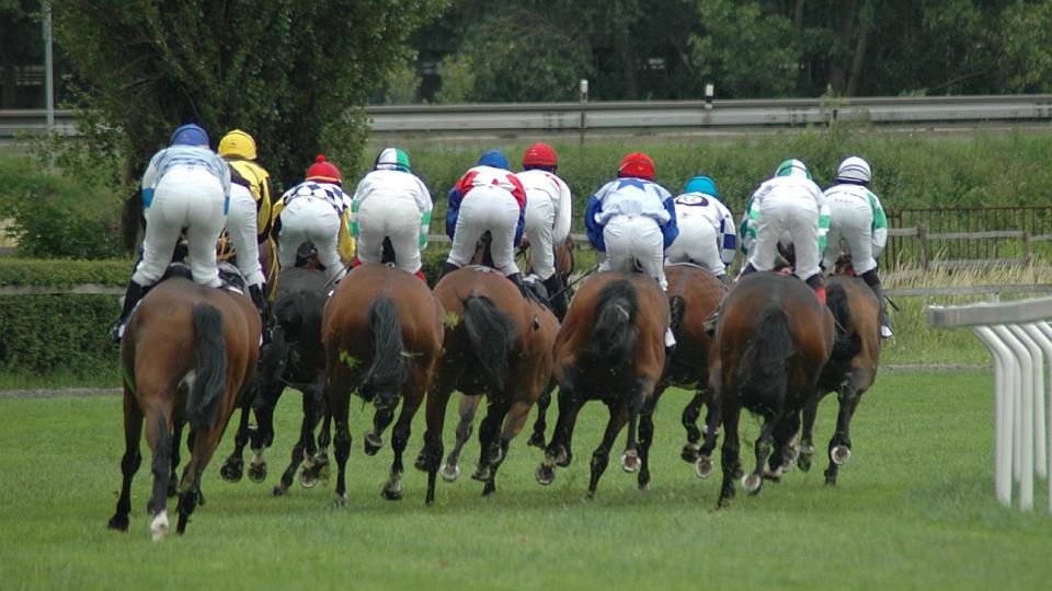Gomba handicap 2018 z Velké Chuchle ŽIVĚ na EquiTV