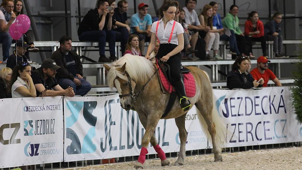 V Praze probíhá první ročník veletrhu For Horse