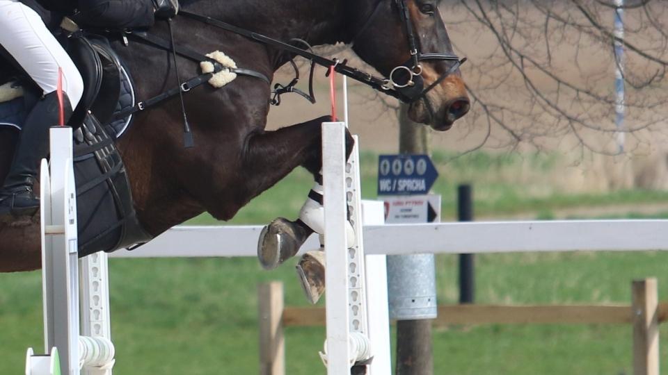 ikonka