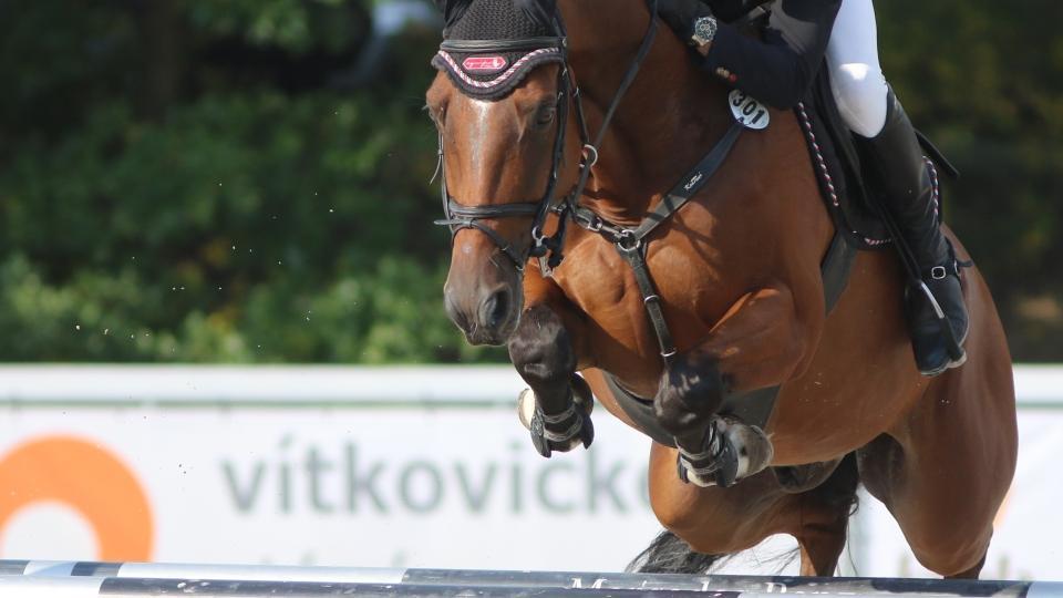 České úspěchy při čtvrtečním Ebreichsdorfu