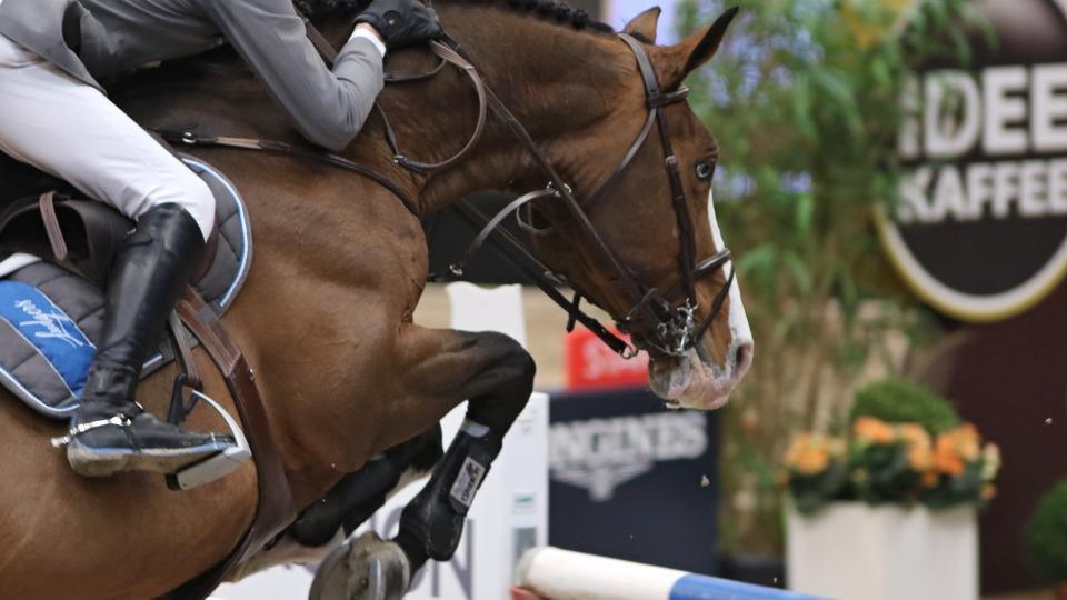 Delaveau úspěšný při páteční Grand Prix v La Baule
