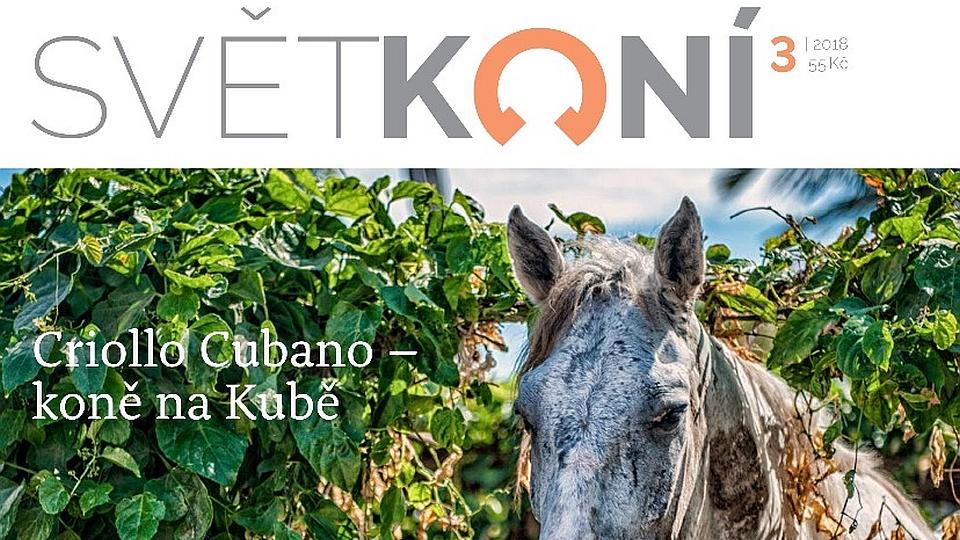 ikonka