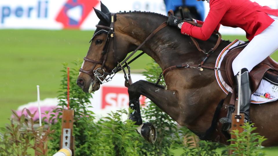CSI5 ve Villach Treffen pro Elizabeth Madden
