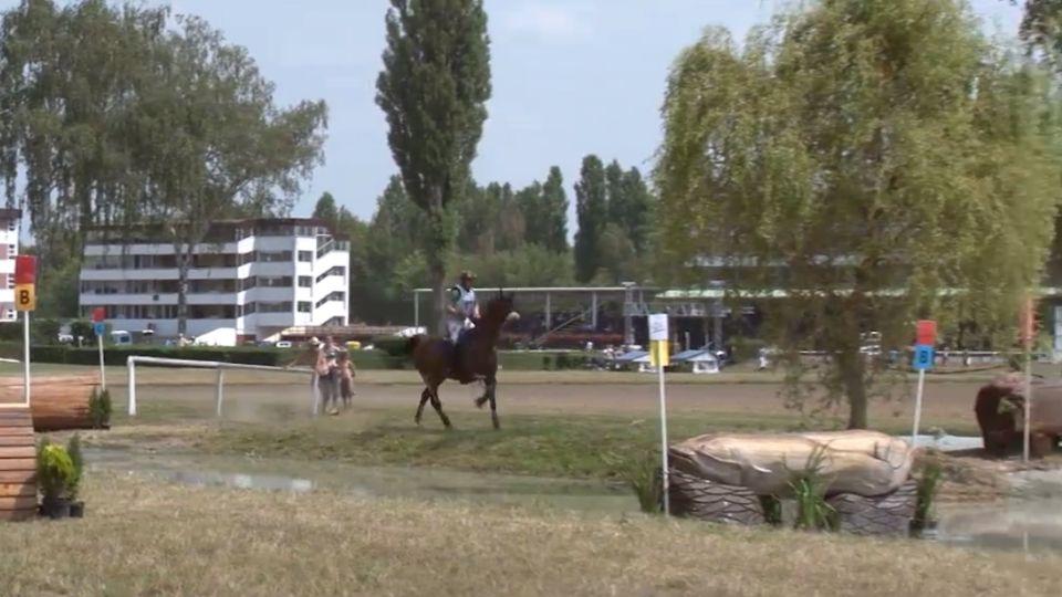 ikonka