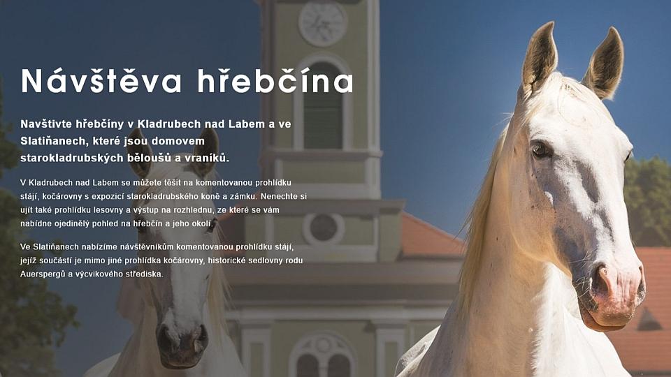 ikonka