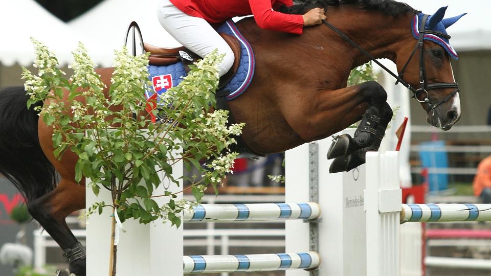 Jezdecké dění na Slovensku v 33. a 34. týdnu 2018