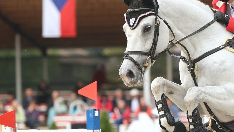 Český tým stříbrný v PN dětí při CSIO Ciekocinko