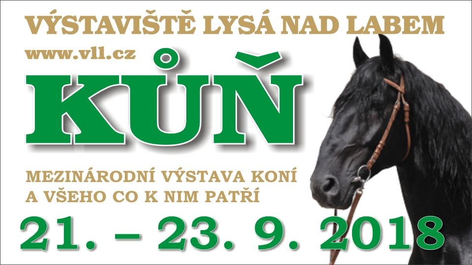ikonka
