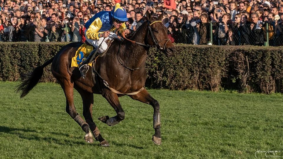 Tzigane du Berlais vítězem Velké pardubické 2018
