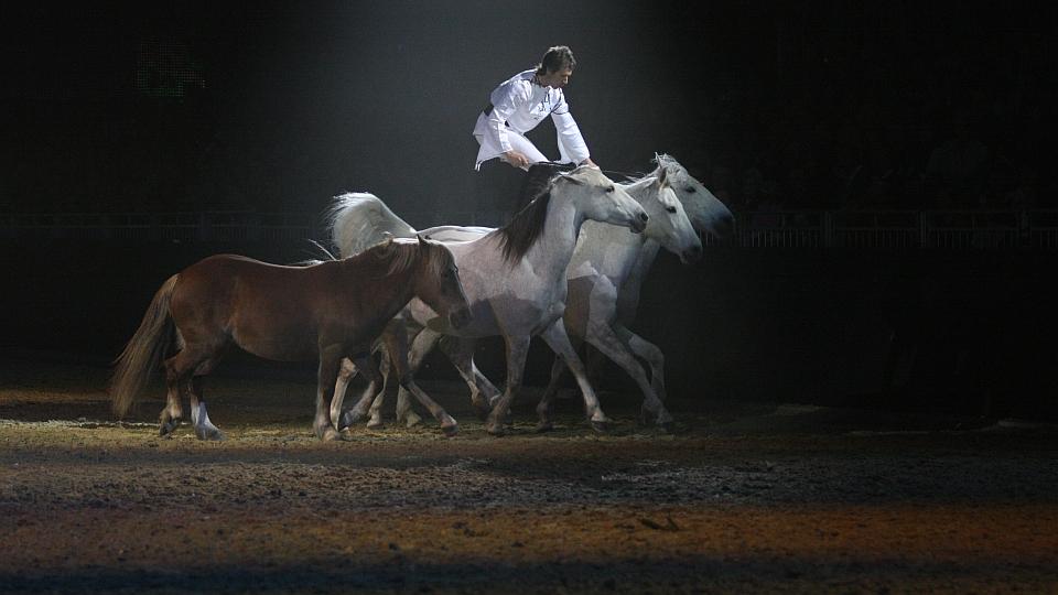 J.F. Pignon bude hostem galashow světového parkuru