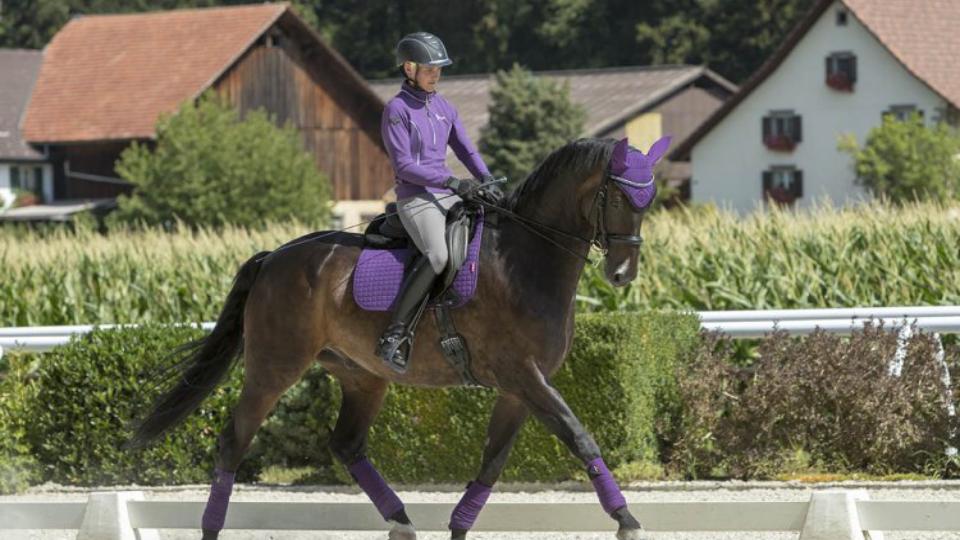 Equestrians nově garantuje nejnižší cenu LeMieux