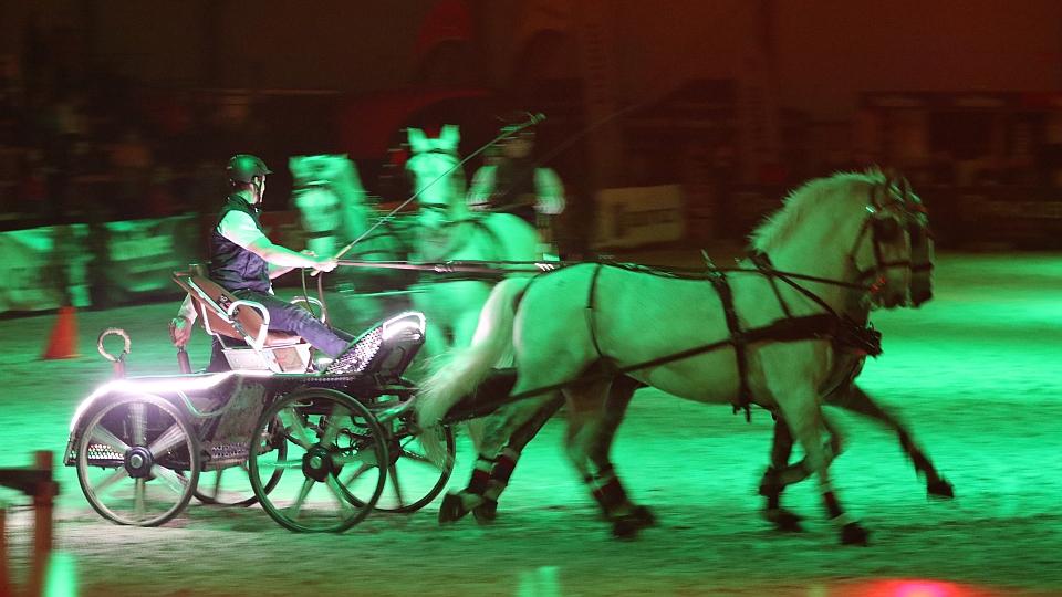 Vstupenka na Jezdecký festival jako vánoční dárek