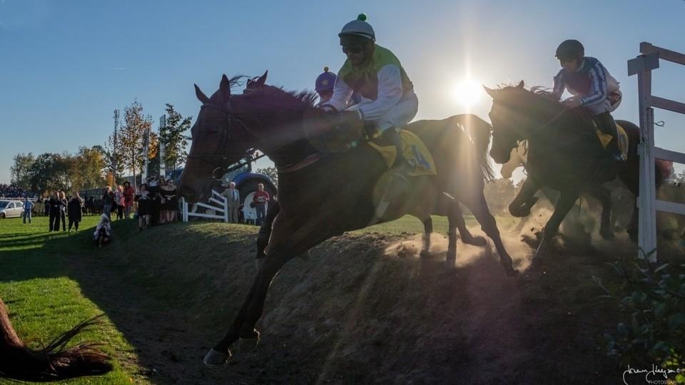 Stáj bojkotuje Cheltenham, soupeři kroutí hlavami