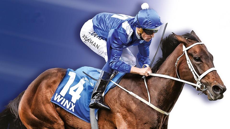 Winx, nebo Cracksman? Toto jsou nejlepší dostihoví koně světa 2018