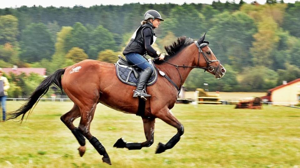 Alena Kozojedová: Byl to výjimečný rok, už sedlám koně i pony