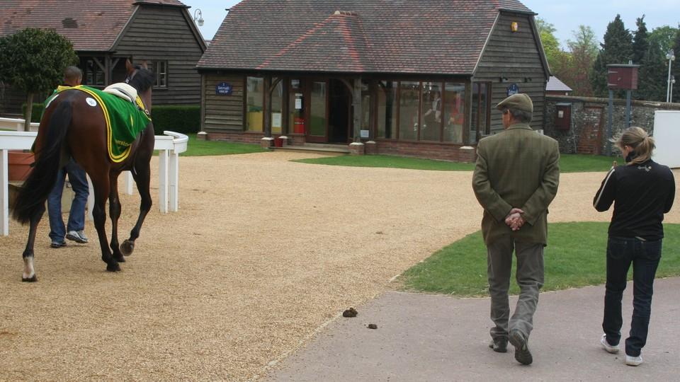 Koňská chřipka řádí dál. 174 britských stájí muselo do izolace