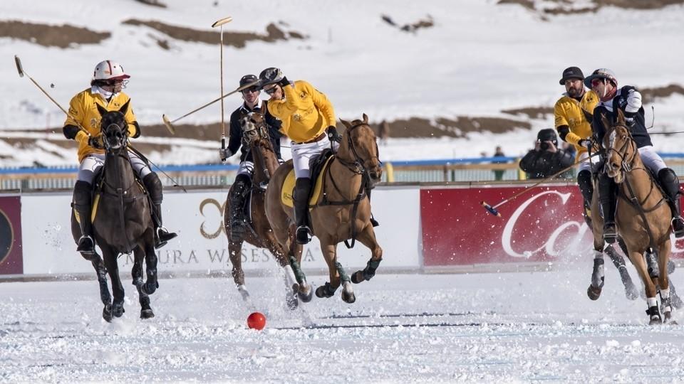 Taxis Snow Polo: Poprvé na sněhu! Do Pardubic míří mezinárodní týmy