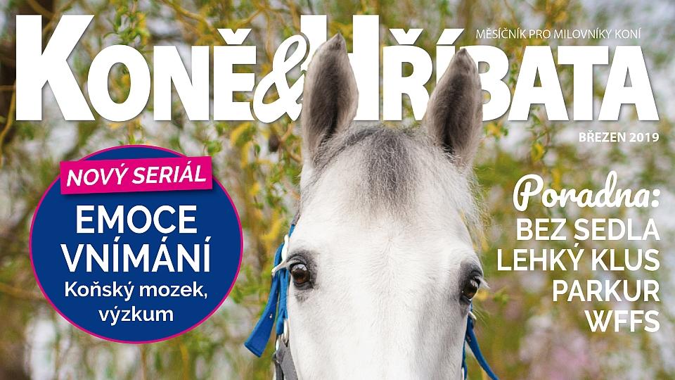 Jarní příprava i koňské agility. Je tu březnové číslo Koně a hříbata