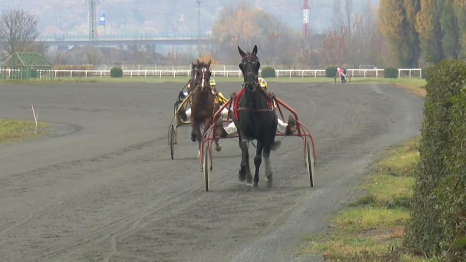 ikonka